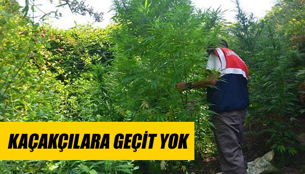 KAÇAKÇILARA GEÇİT YOK