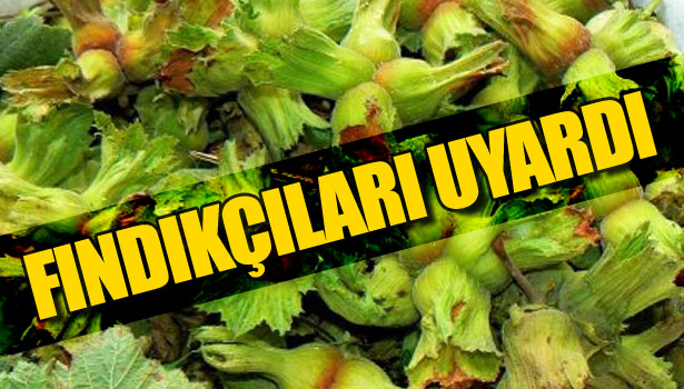 FINDIKÇILARI UYARDI