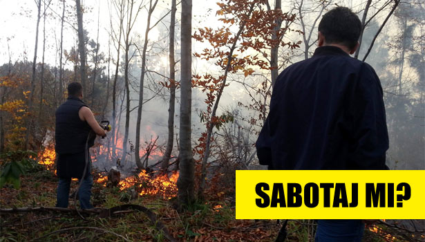 2 HEKTARLIK ALAN YANGINDA KÜL OLDU