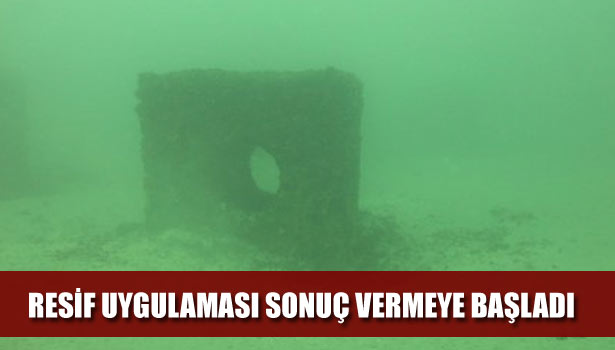 RESİF UYGULAMASI SONUÇ VERMEYE BAŞLADI