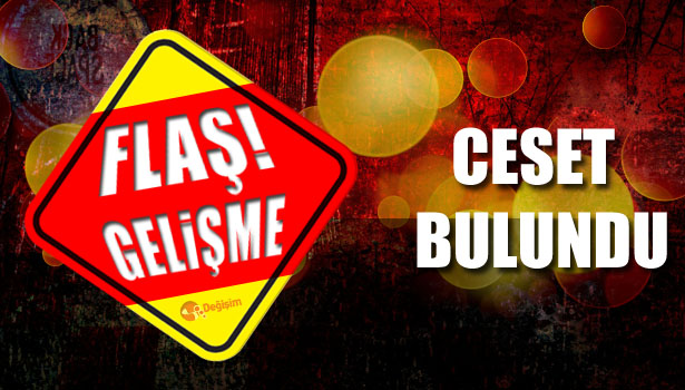 ELEKTRİK DİREĞİNDE ÖLÜM