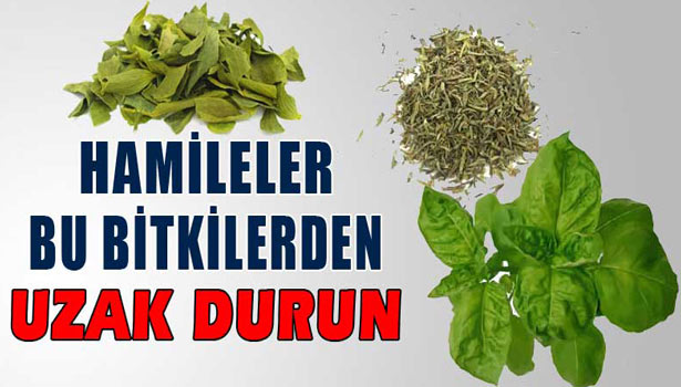 'HAMİLELER BU BİTKİLERDEN UZAK DURUN'
