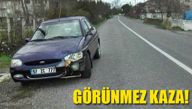 HAYVANA ÇARPAN ARAÇTA MADDİ HASAR MEYDANA GELDİ
