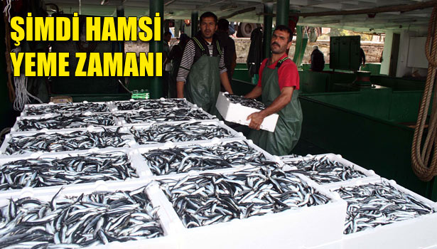 ŞİMDİ HAMSİ YEME ZAMANI