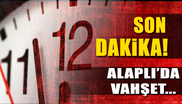 ALAPLI'DA VAHŞET...
