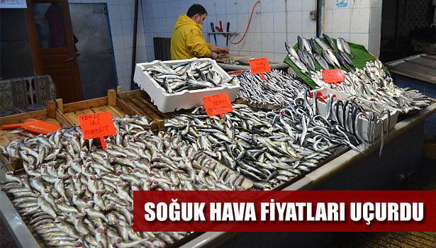 BALIK FİYATLARI YÜKSELDİ