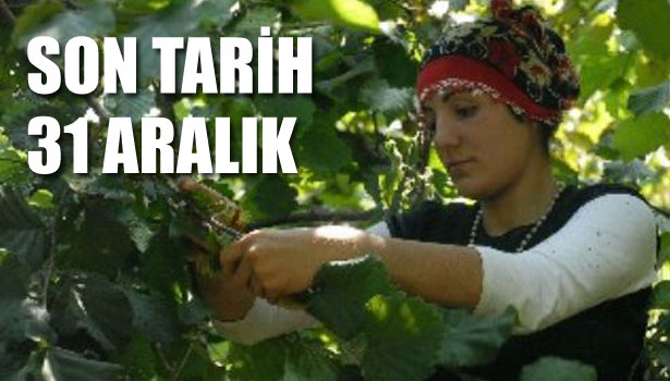 SON TARİH 31 ARALIK