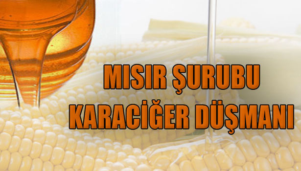 MISIR ŞURUBU KARACİĞER DÜŞMANI