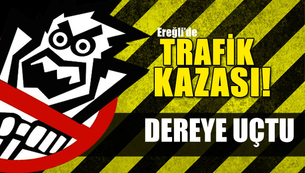 SÜRÜCÜ DEREYE UÇTU