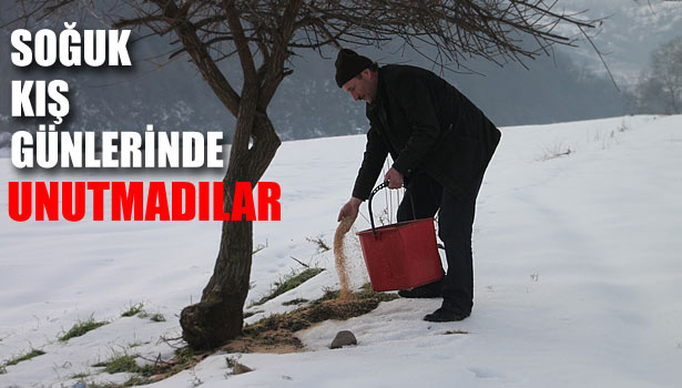 YEM BULAMAYAN KANATLILAR UNUTULMADI