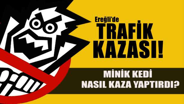 KEDİ, NASIL KAZA YAPTIRDI?