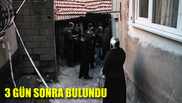 FARELERİN ELİNİ VE YÜZÜNÜ YEDİĞİ KADINI KOMŞULARI BULDU