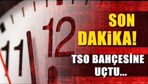 TSO BAHÇESİNE UÇTU...