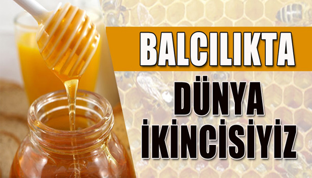 TÜRKİYE BALCILIKTA DÜNYA İKİNCİSİ