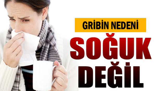 'GRİBİN NEDENİ SOĞUK DEĞİL'