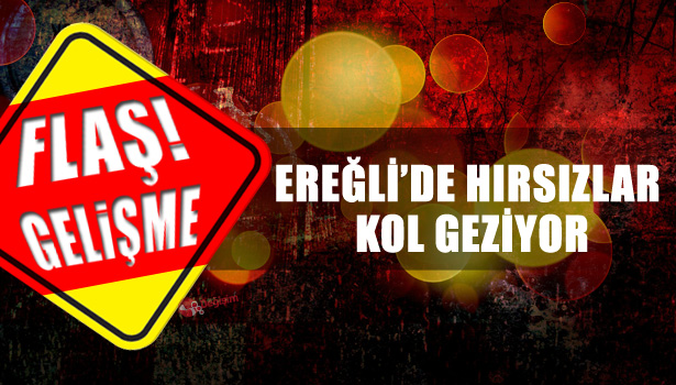 BİR HIRSIZLIK VAKASI DAHA