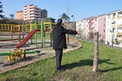 AĞAÇLARDAN NE İSTEDİLER?