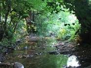 AKSU DERESİNE TRİBÜN KURULMASINA KARŞI ÇIKTI..