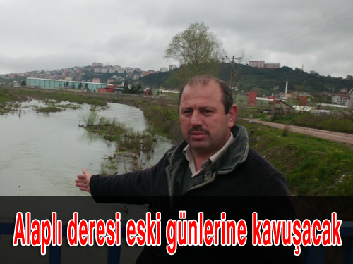 Alaplı deresi eski günlerine kavuşcak