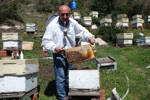 ARI ZEHRİ ÜRETİMİNE İZİN VERSİNLER, ÜLKE EKONOMİSİ KURTULSUN..