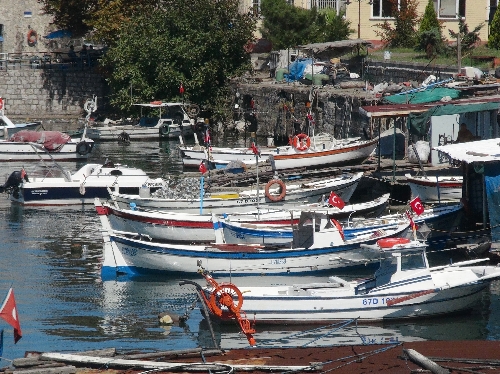 AV SEZONU 2 MİLDE TROL NEDENEYİLE SANCILI BAŞLADI..