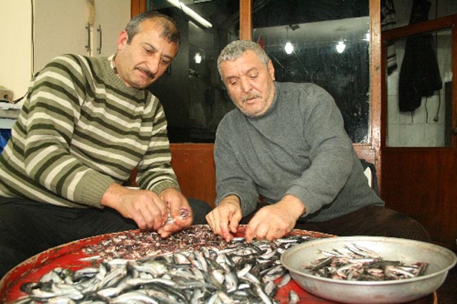 BALIK AYIKLAMA KURSU...