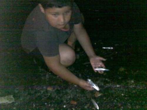 BALIK ÖLÜMLERİ ŞAŞIRTTI..