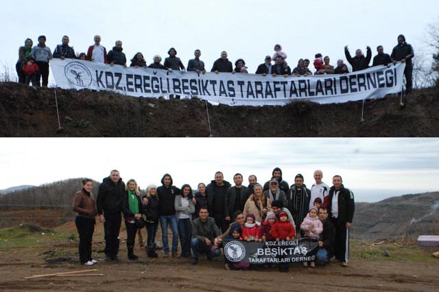 BEŞİKTAŞLILAR 1903 ADET FİDAN DİKTİ...