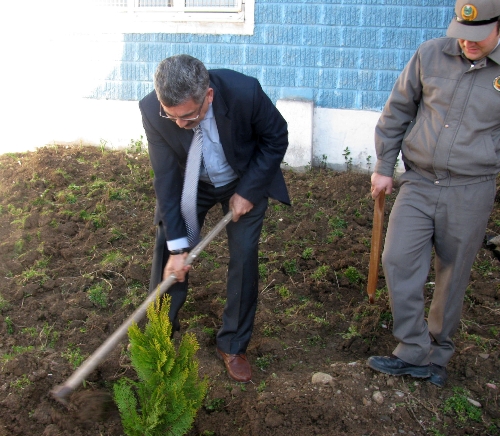BEYLER KÖYÜ OKULU BAHÇESİ DİKİLEN FİDANLARLA ŞENLENDİ..