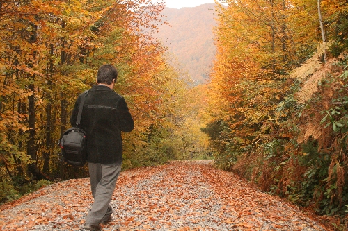 BİR BAŞKADIR SONBAHARDA YÜRÜMEK...