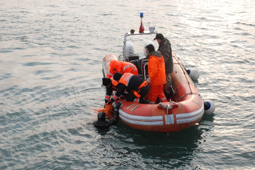 ÇALIŞMALAR YENİDEN BAŞLADI..