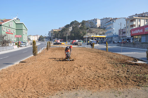 ÇİMLENDİRME ÇALIŞMALARINA BAŞLANDI..