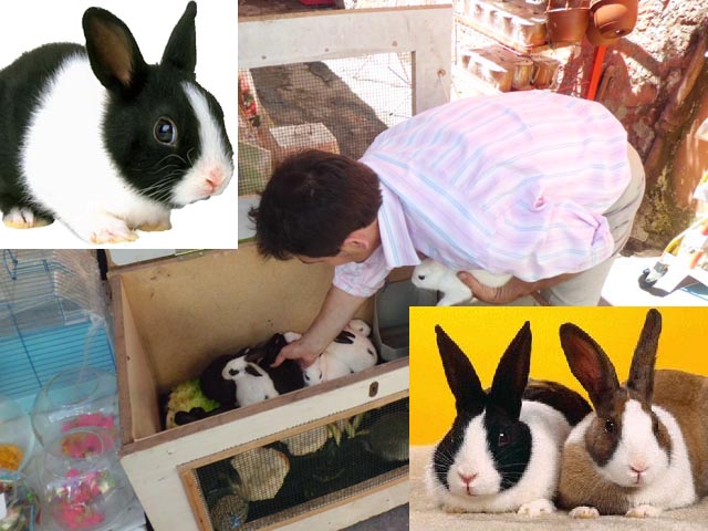 ÇOCUKLARIN İLGİ ODAĞI OLDULAR...