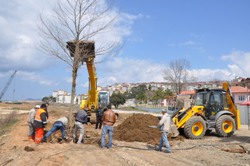 DOLGU ALANI AĞAÇLANDIRILIYOR..