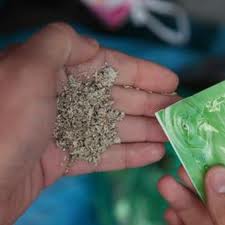 EREĞLİDE 30 GRAM BONZAİ YAKALANDI..