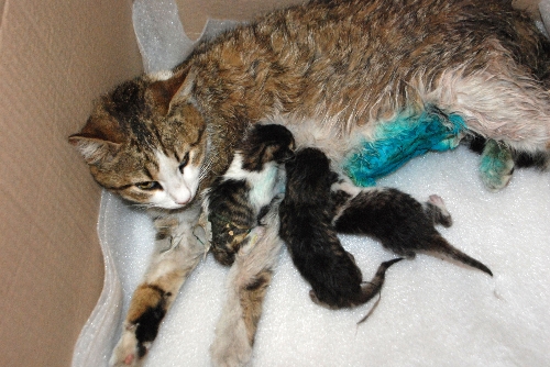 ESNAFTAN DUYARLI DAVRANIŞ..