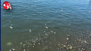 Sahilde çöp tepkisi