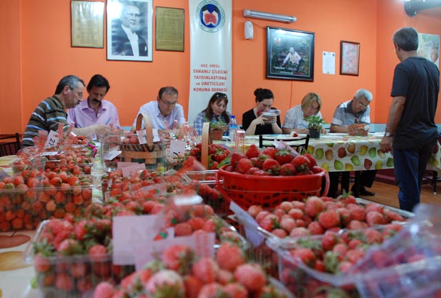 Jüri üyeleri puanlama yapmakta zorladı