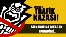 KALP KRİZİ GEÇİRDİ,SU KANALINDA DURABİLDİ