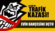 ALKOLLÜ SÜRÜCÜ EVİN BAHÇESİNE UÇTU