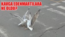 KAVGA EDEN MARTILARA NE OLDU