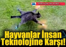 HAYVANLAR İNSAN TEKNOLOJİSİNE KARŞI