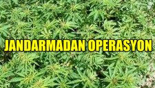 JANDARMADAN OPERASYON