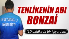 TÜRKİYEDE TEHLİKENİN ADI BONZAİ