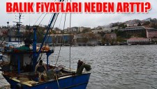 HAVA SICAKLIĞI DÜŞTÜ, BALIK FİYATLARI YÜKSELDİ