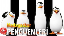 MADAGASKAR PENGUENLERİ