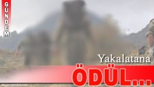 YAKALANMASINA YARDIMCI OLANA PARA ÖDÜLÜ VERİLECEK