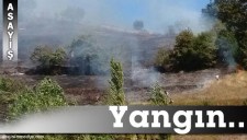 ZONGULDAKTA ORMAN YANGINI