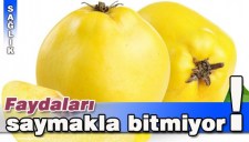 AYVANIN FAYDALARI SAYMAKLA BİTMİYOR