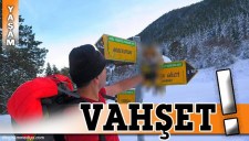 SİLAHLA VURDUKLARI TİLKİYİ YÖN TABELASINA ASTILAR